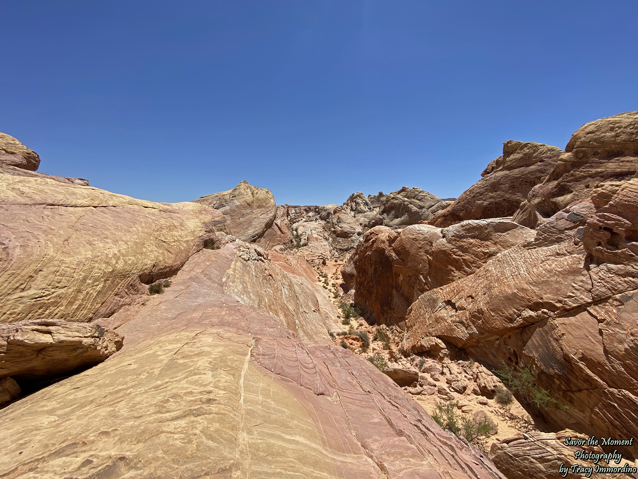 The Valley of Fire State Park
