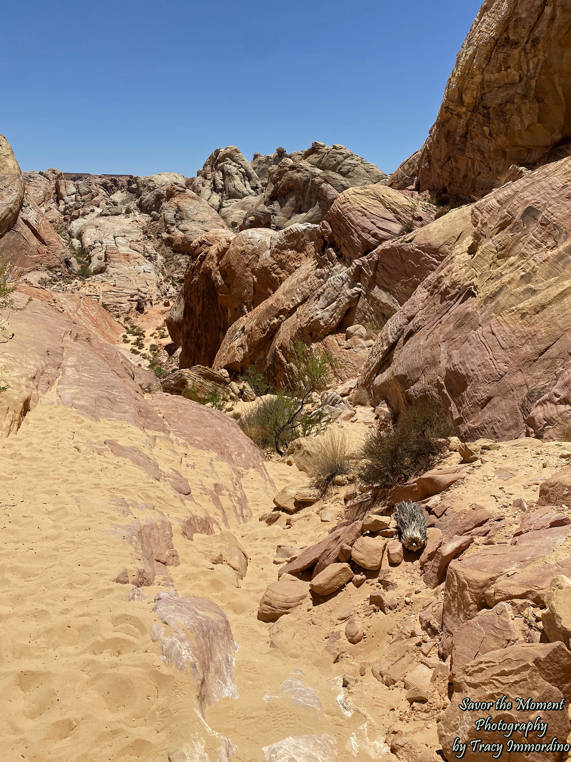 The Valley of Fire State Park