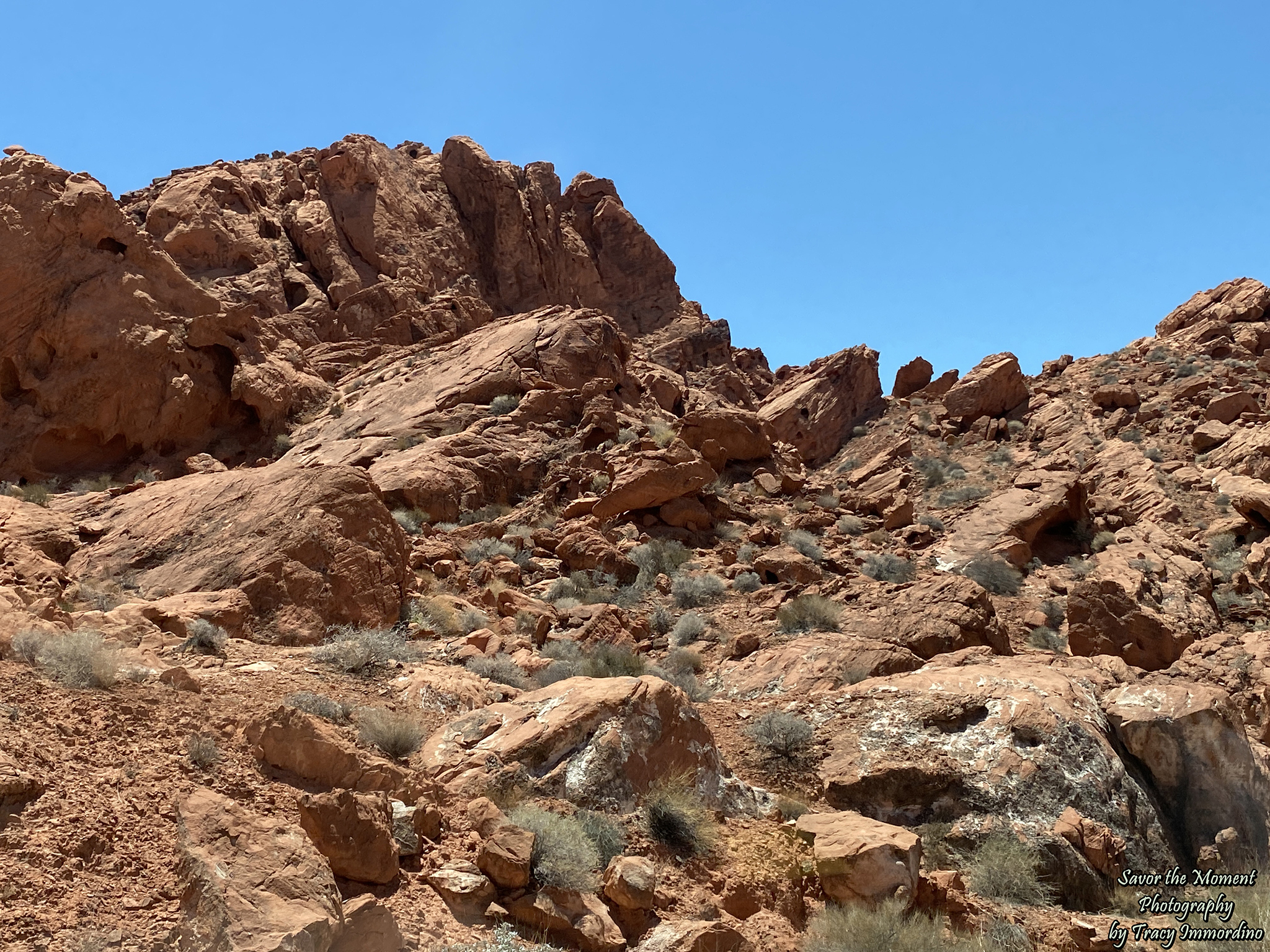 The Valley of Fire State Park