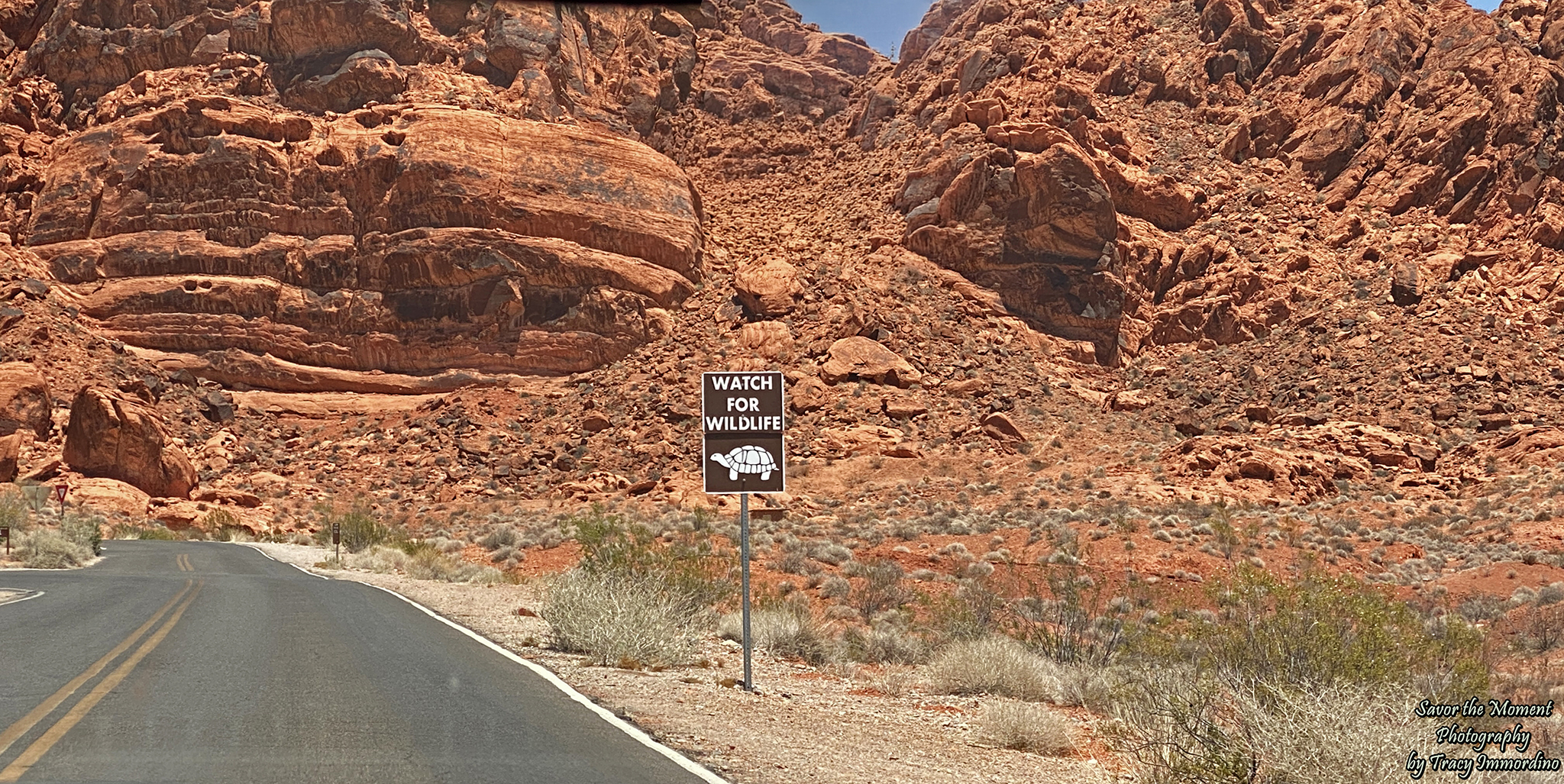 The Valley of Fire State Park
