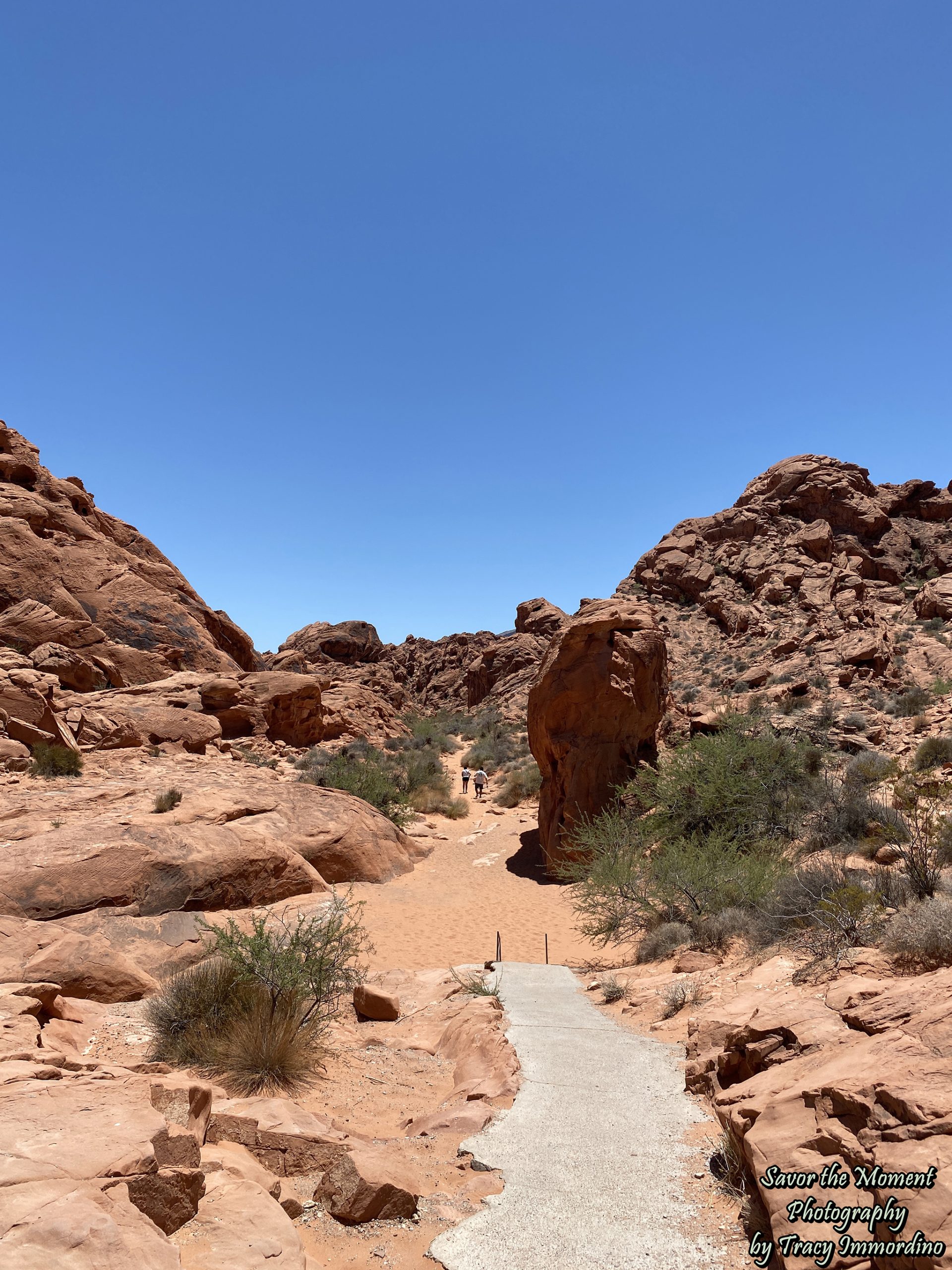 The Valley of Fire State Park